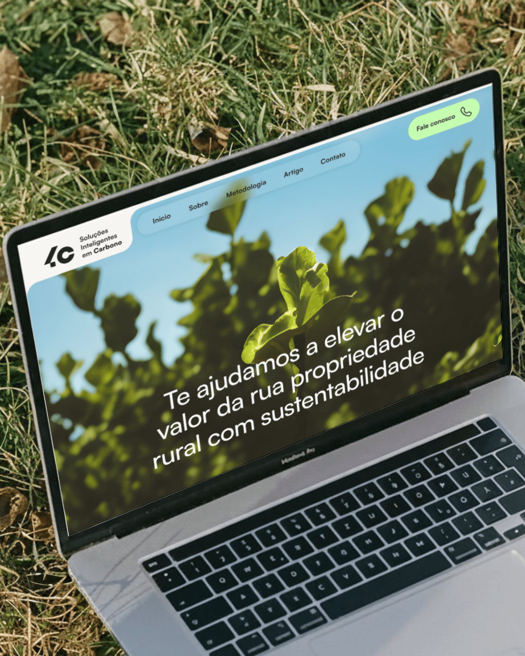 4C Soluções em Carbono — 5